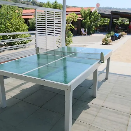 Modern In With Terrace